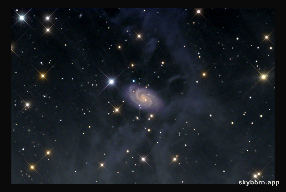 Art and Science in NGC 918