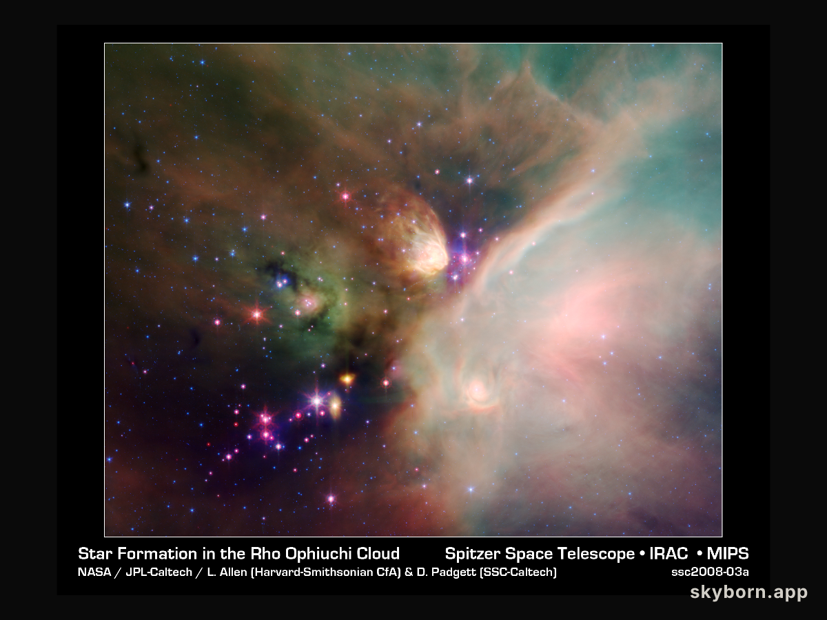 Young Stars in the Rho Ophiuchi Cloud