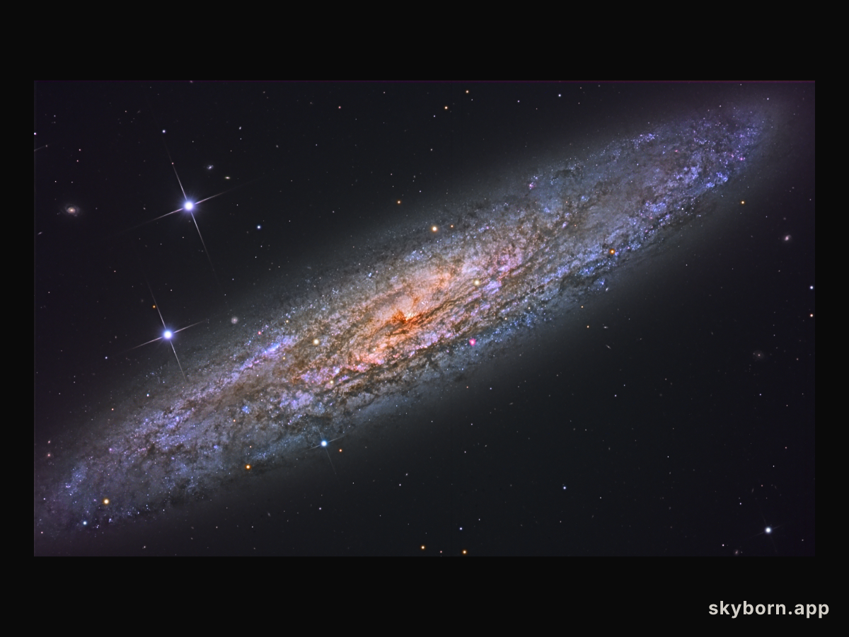 NGC 253: Dusty Island Universe