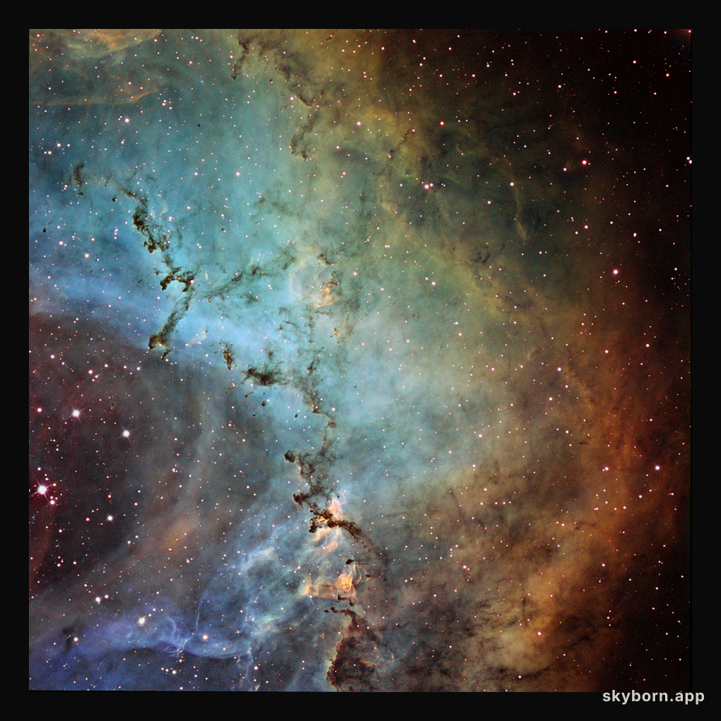 Dust Sculptures in the Rosette Nebula