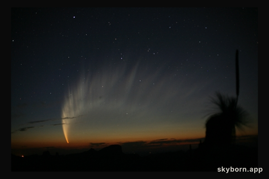 The Magnificent Tail of Comet McNaught