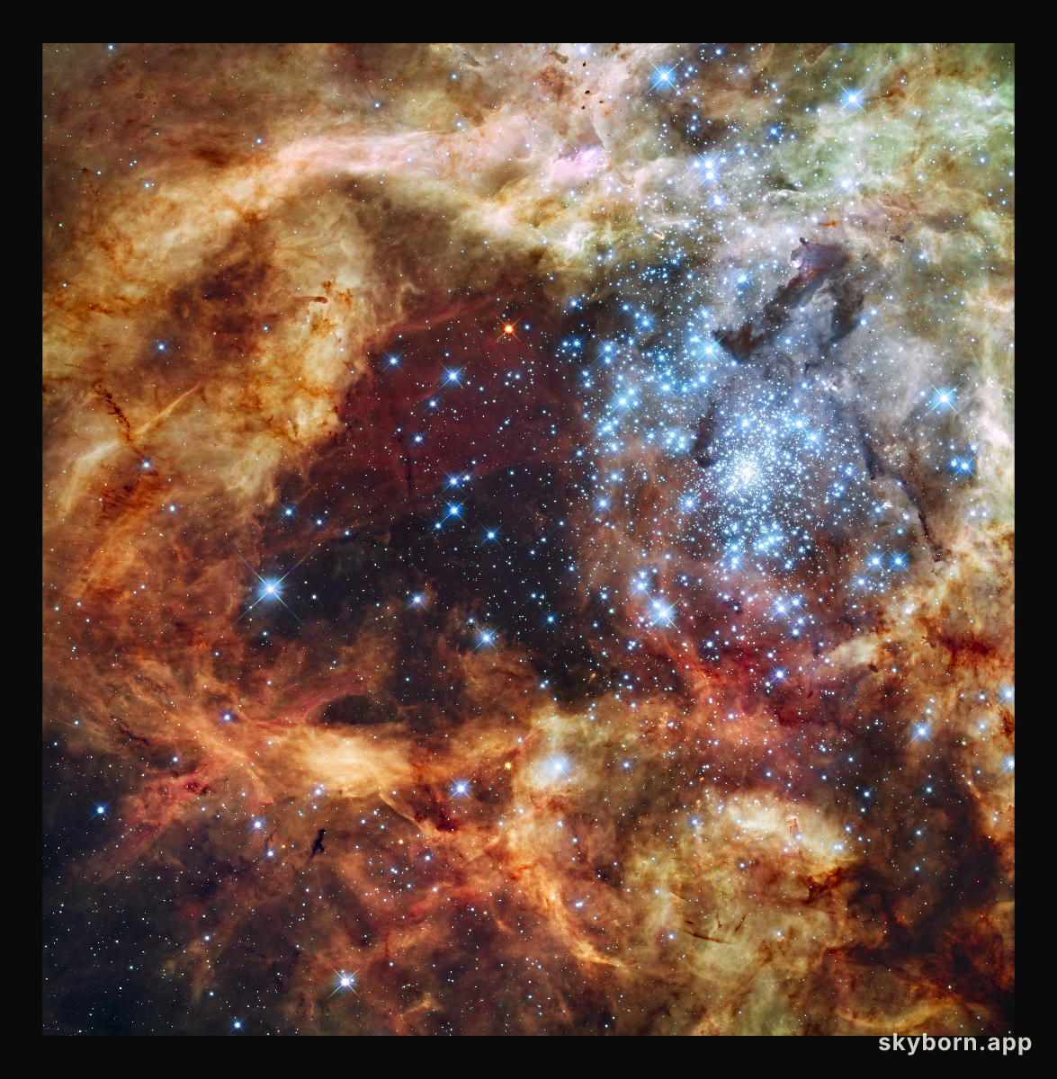 Star Cluster R136 Bursts Out