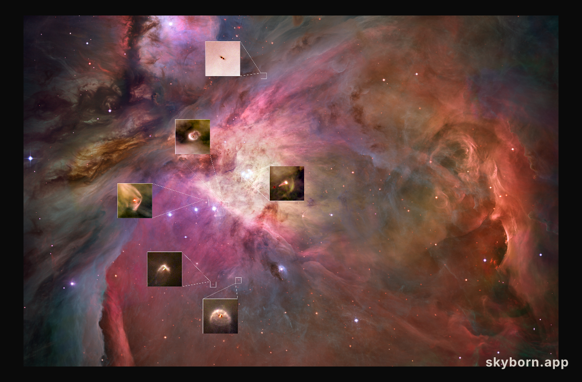 Planetary Systems Now Forming in Orion