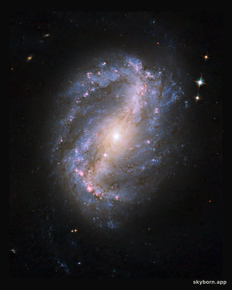 Barred Spiral Galaxy NGC 6217