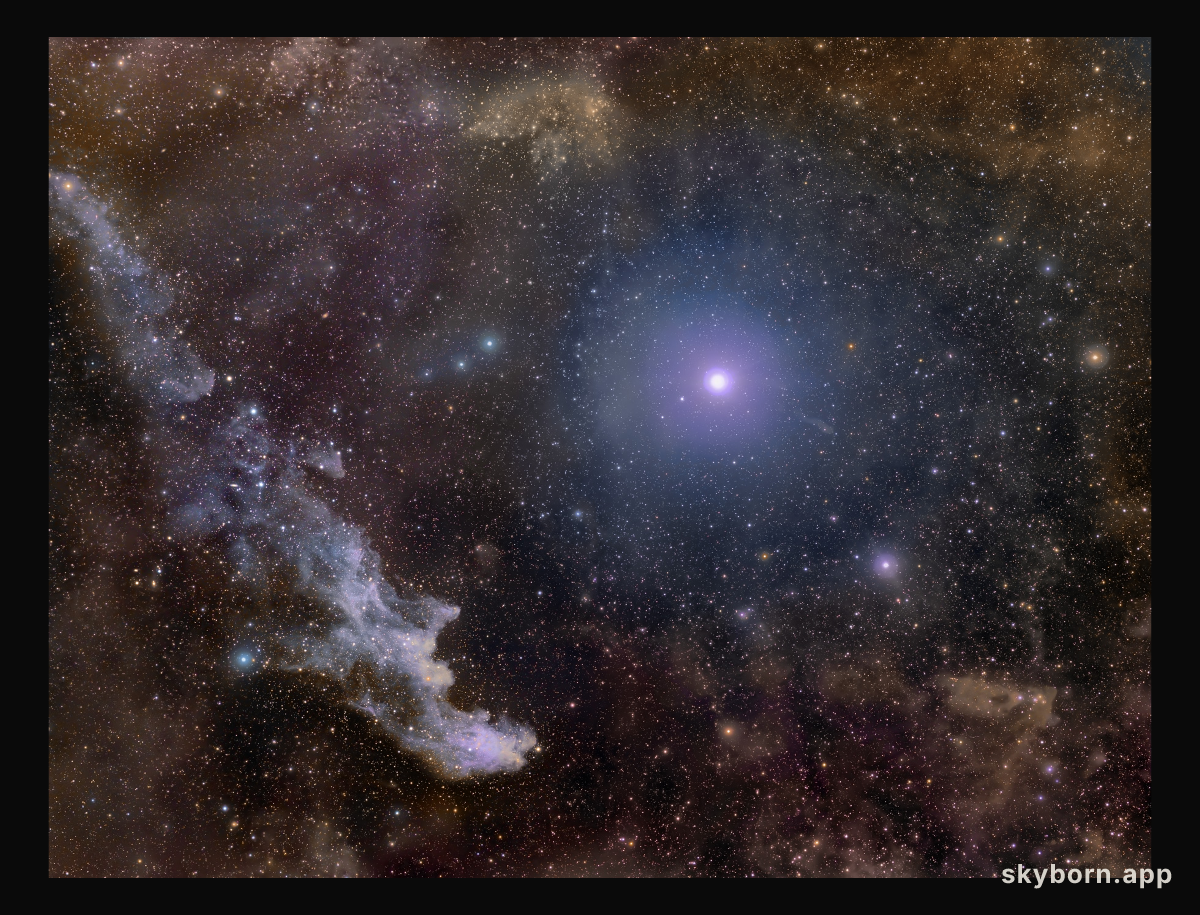 Rigel and the Witch Head Nebula