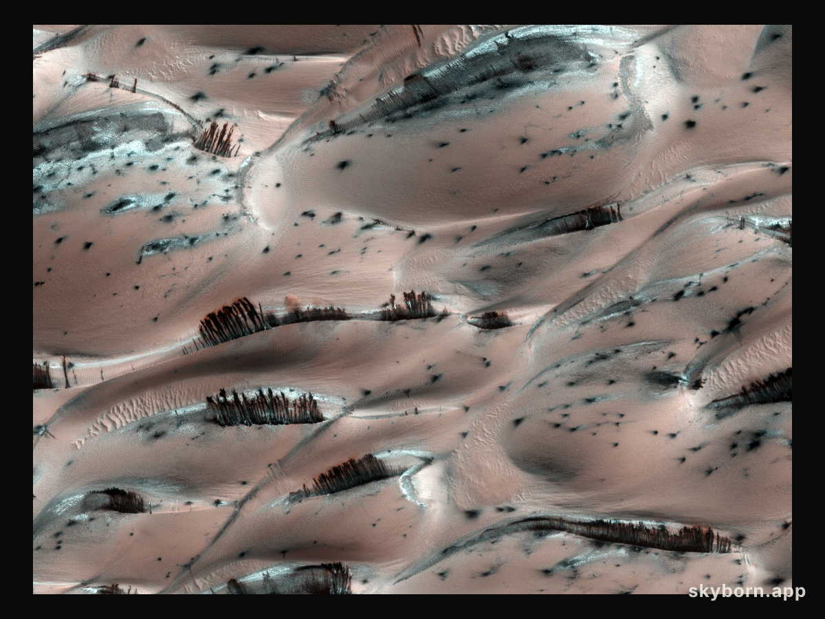 Dark Sand Cascades on Mars