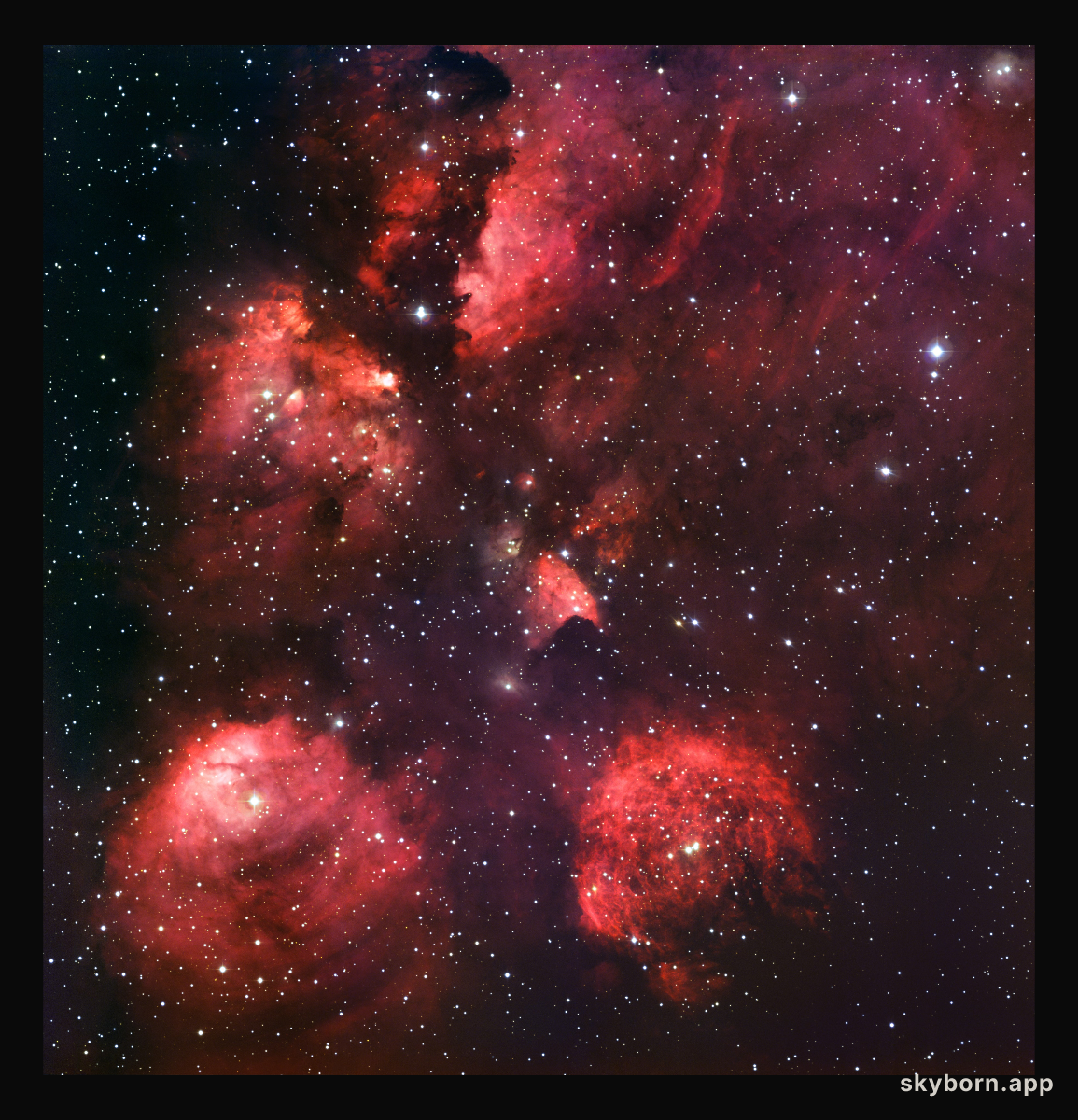 The Cat's Paw Nebula*