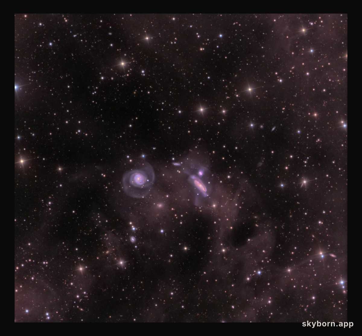 Dust and the NGC 7771 Group
