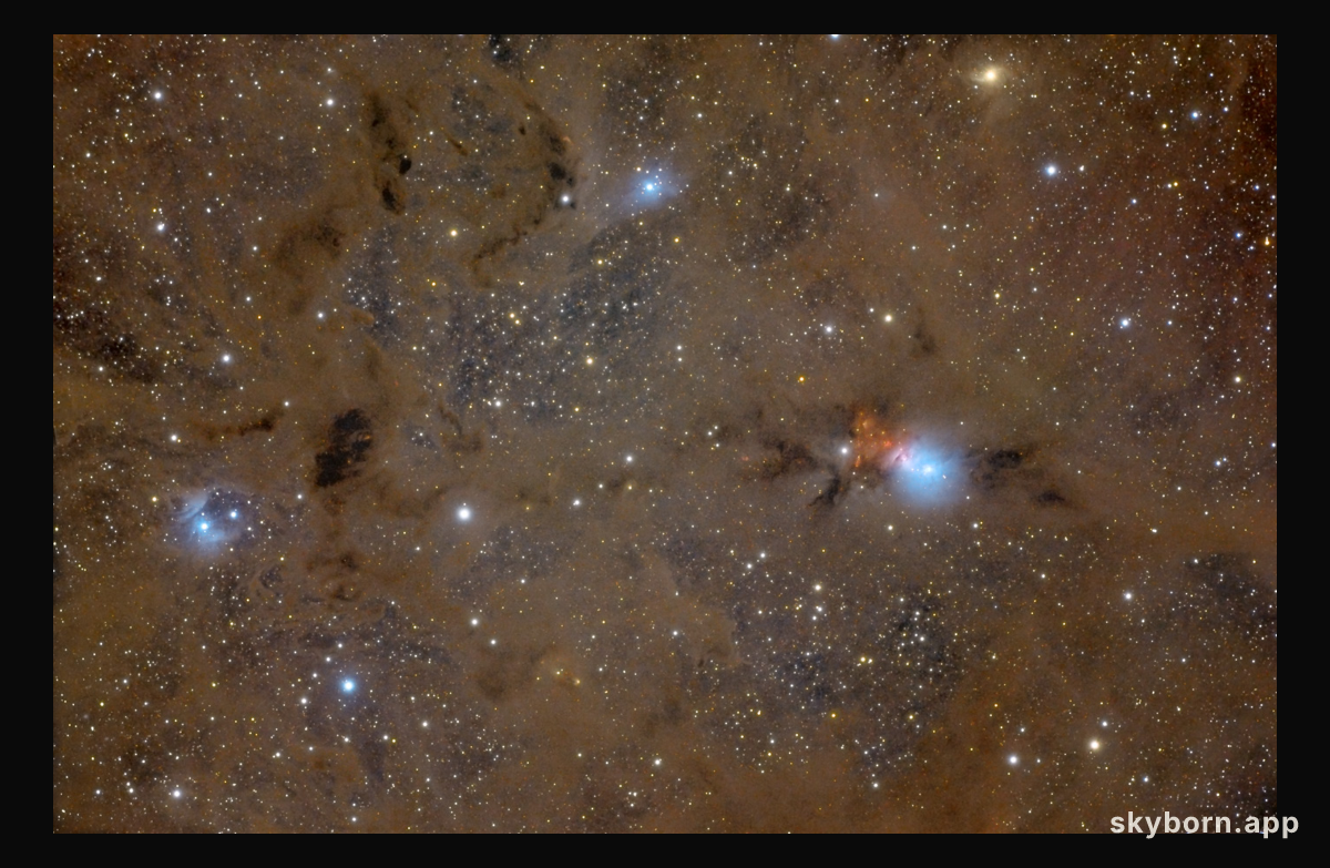 Stardust in Perseus
