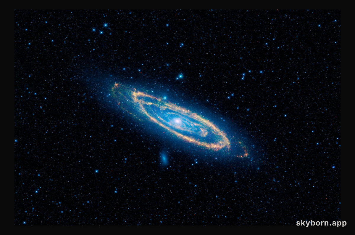 WISE Infrared Andromeda