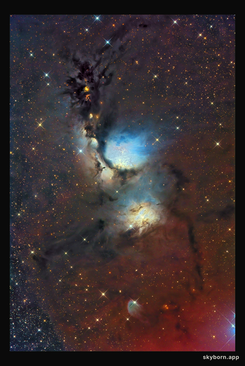 M78 and Reflecting Dust Clouds in Orion
