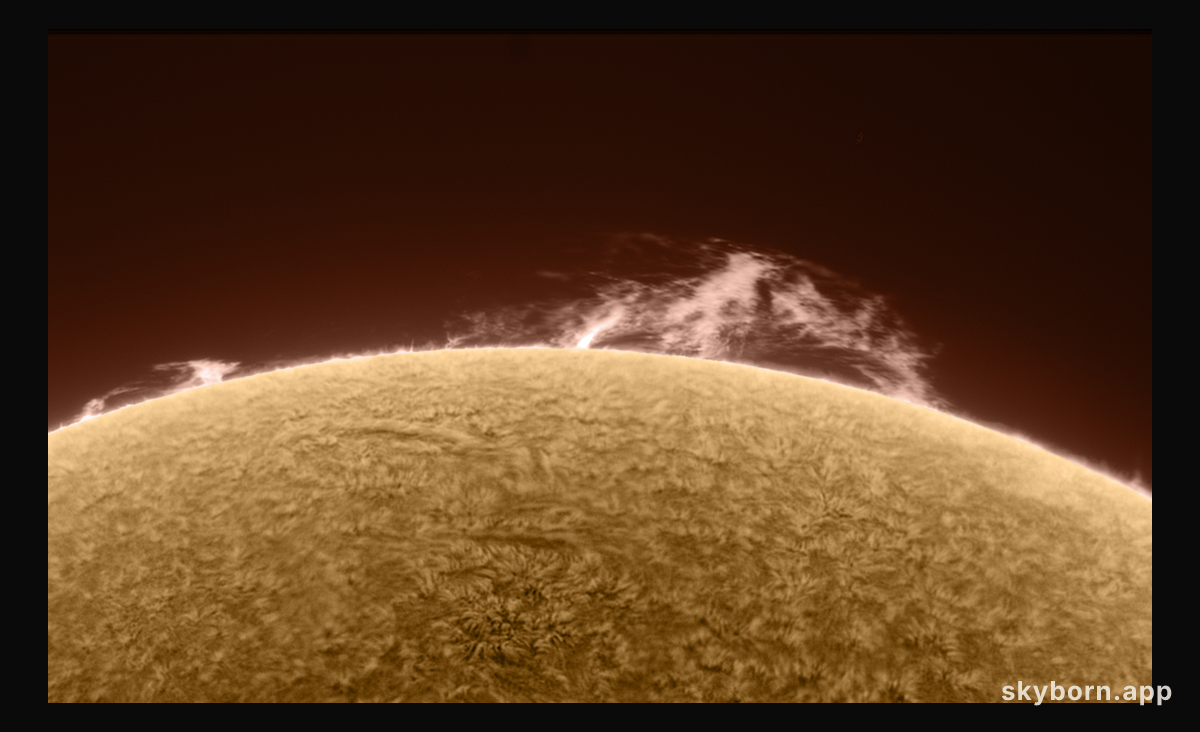 Reinvigorated Sun and Prominence