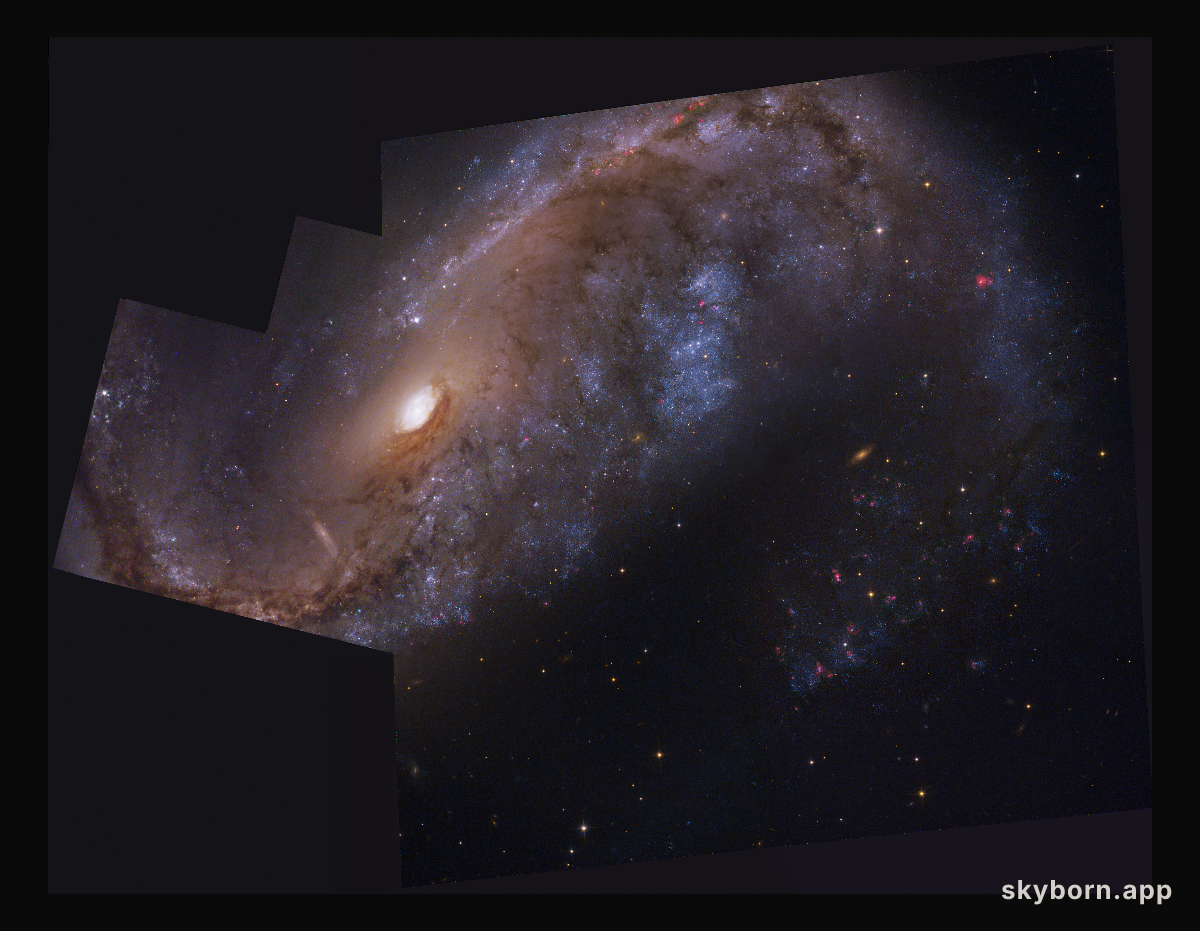 NGC 2442: Galaxy in Volans