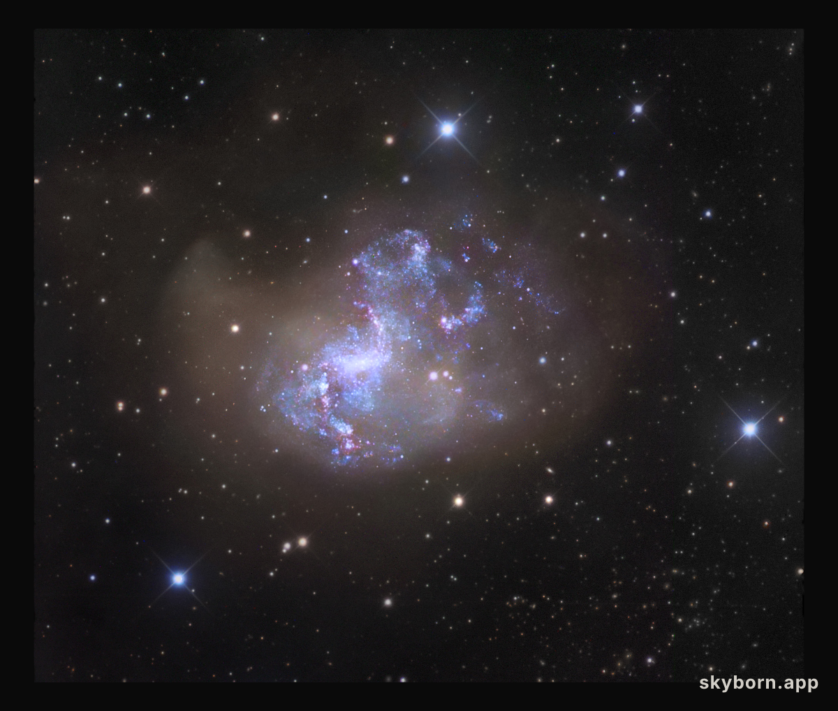 Unusual Starburst Galaxy NGC 1313
