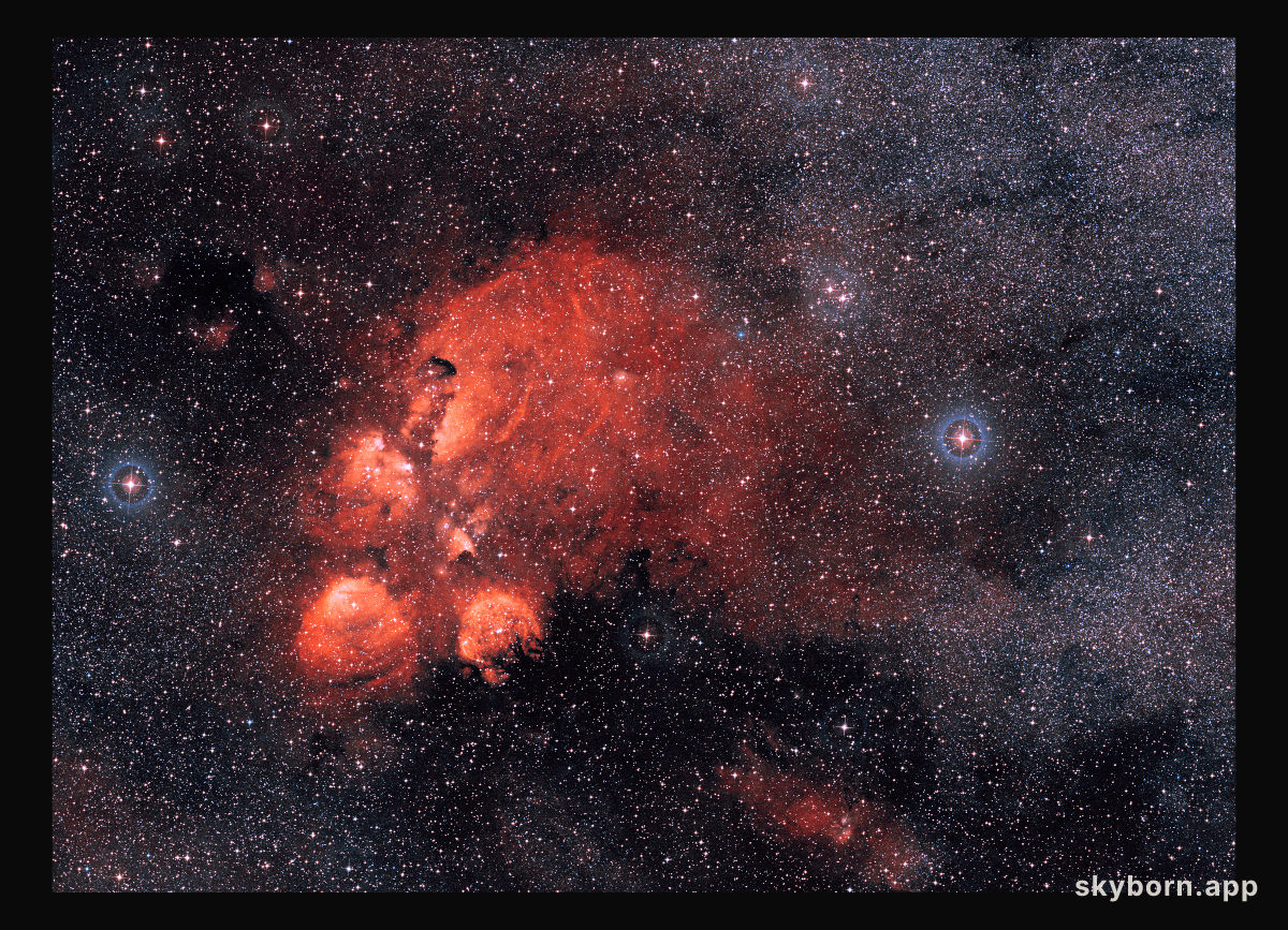 Wide Angle: The Cat's Paw Nebula