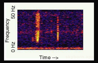 The Bloop: A Mysterious Sound from the Deep Ocean