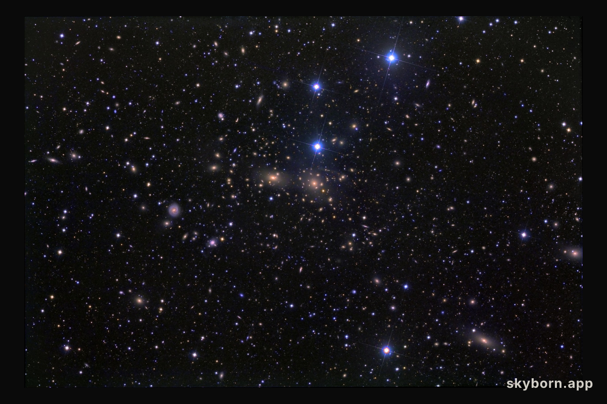 The Coma Cluster of Galaxies