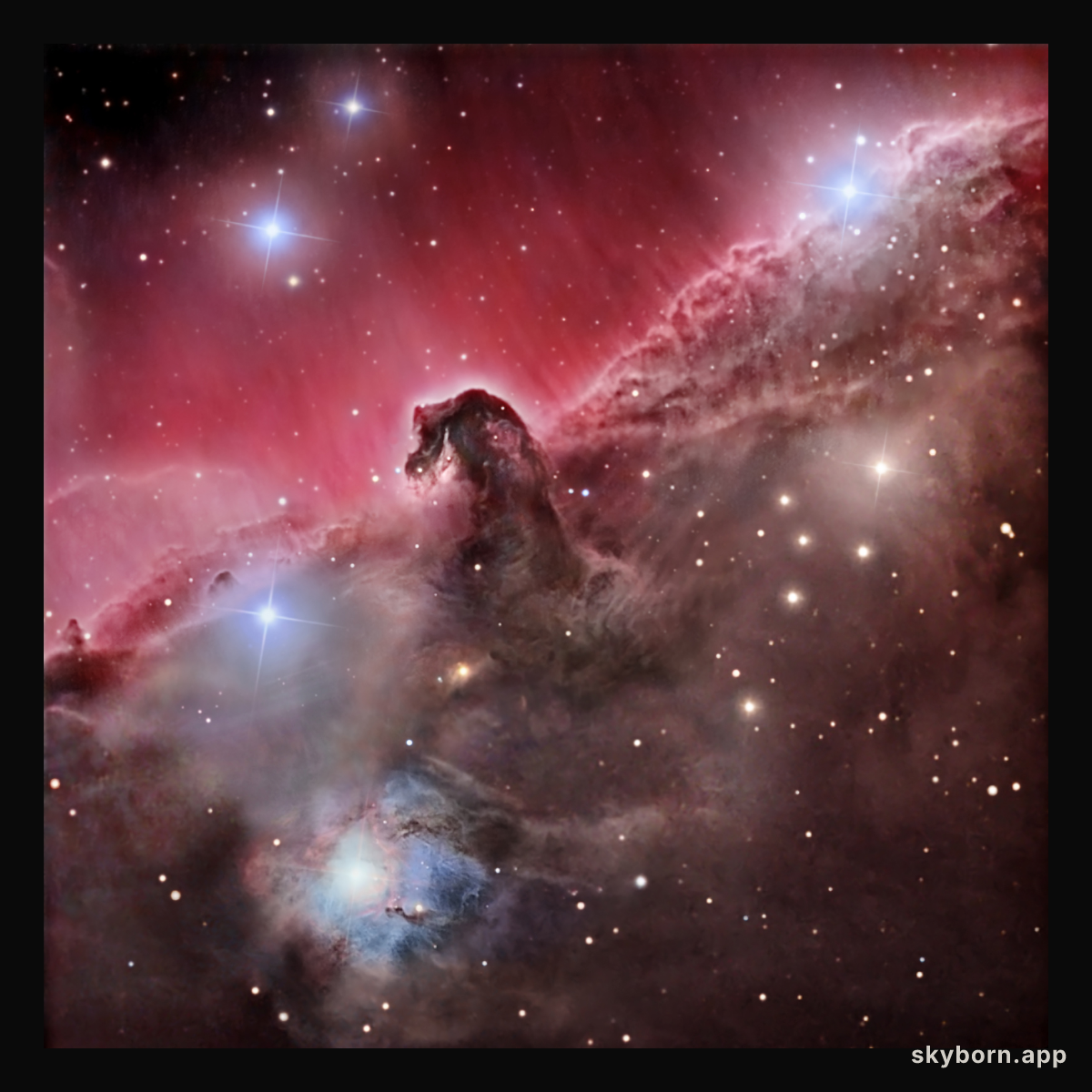 The Magnificent Horsehead Nebula