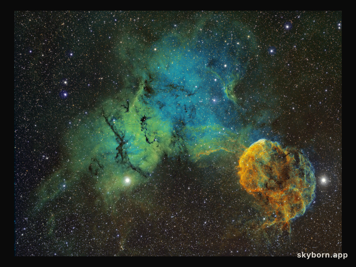 The Elusive Jellyfish Nebula