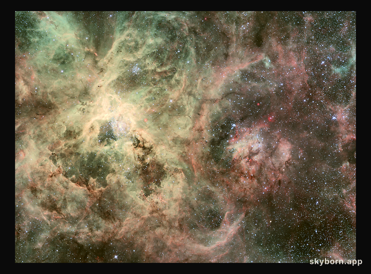 Tentacles of the Tarantula Nebula