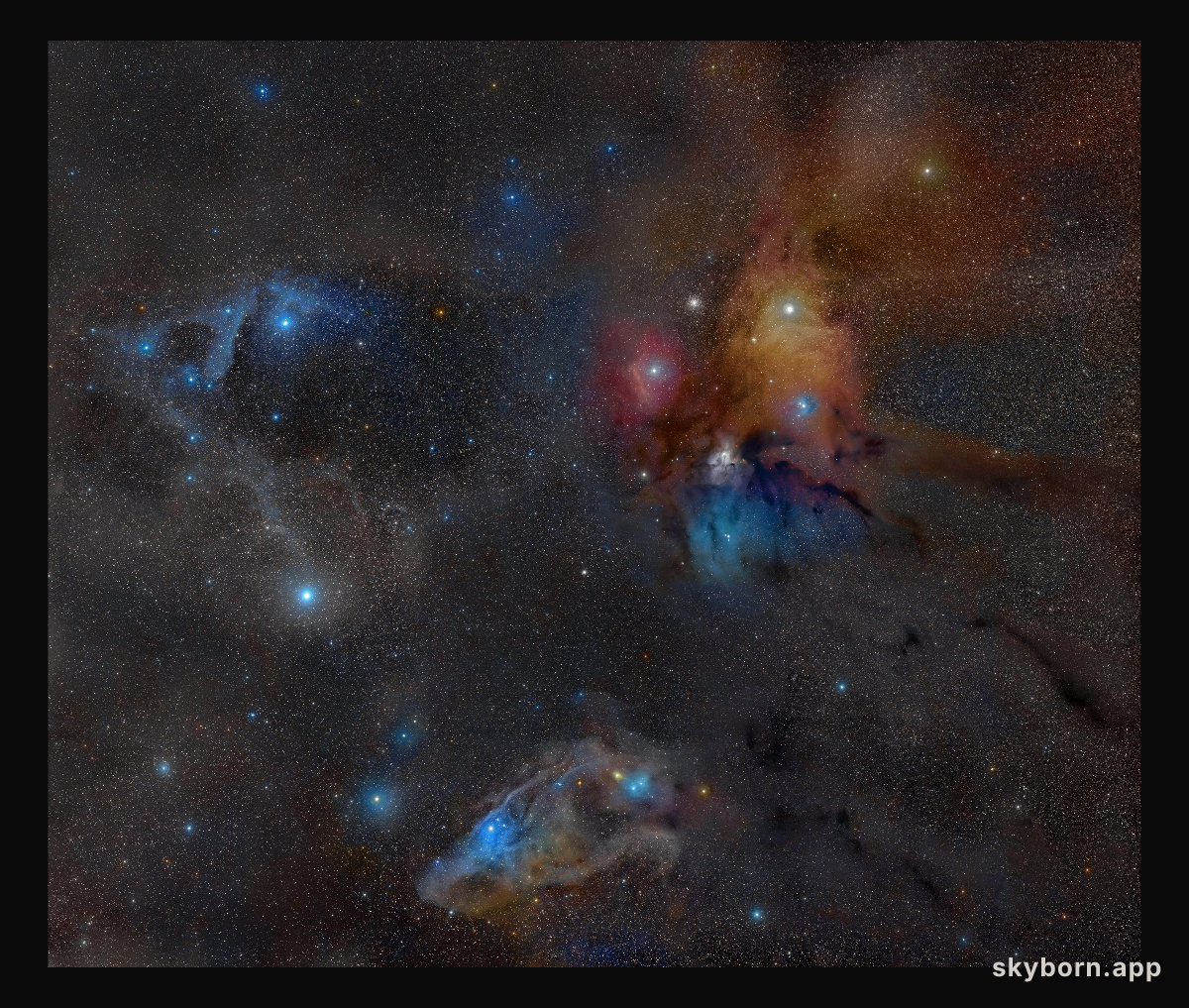 Rho Ophiuchi Wide Field