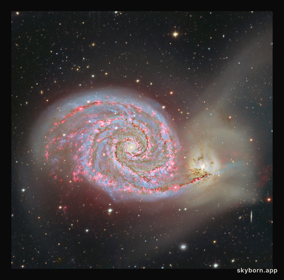 Hydrogen in M51