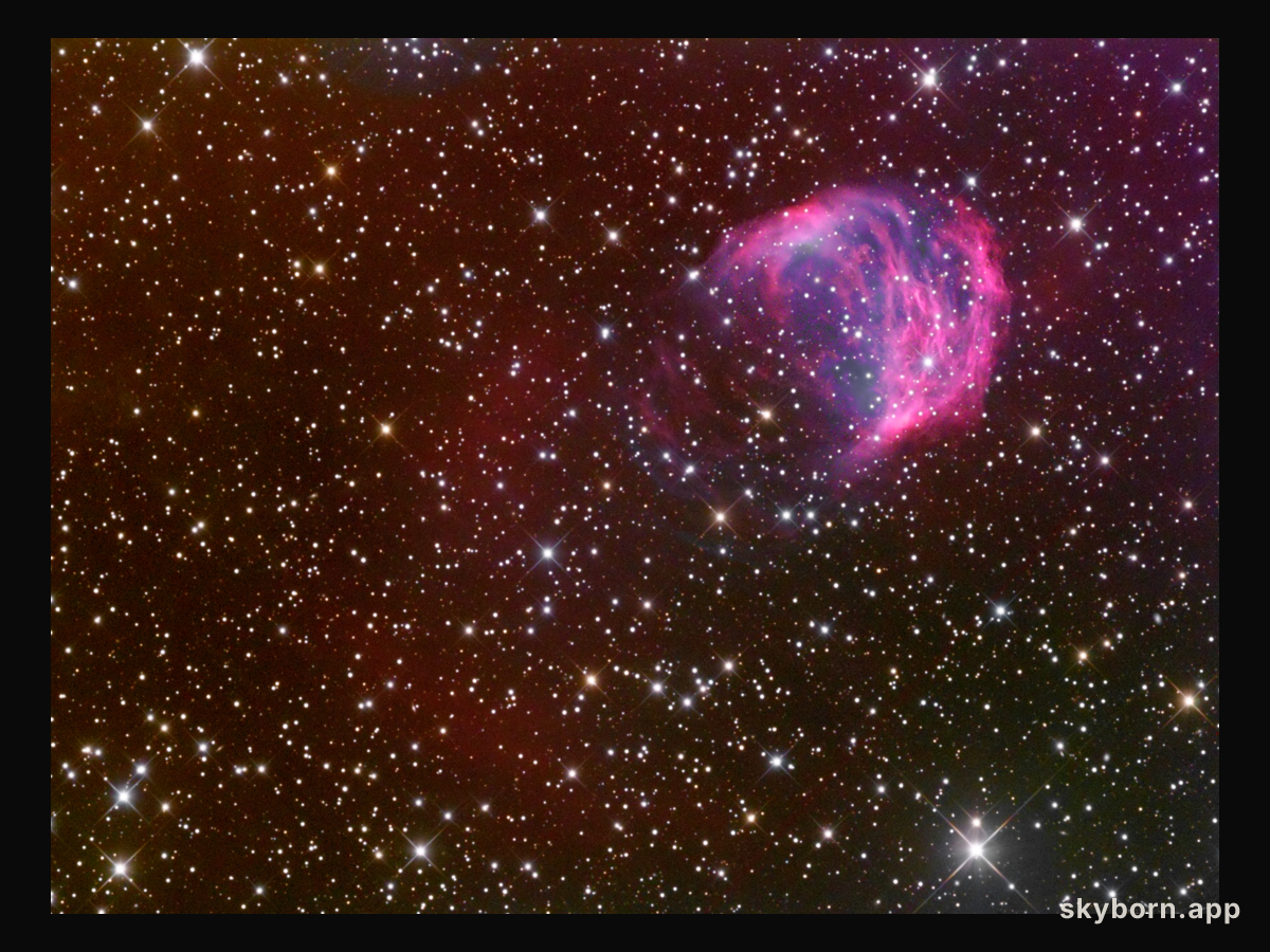 The Medusa Nebula