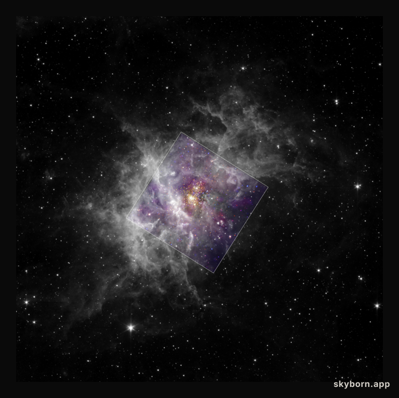 Young Star Cluster Westerlund 2