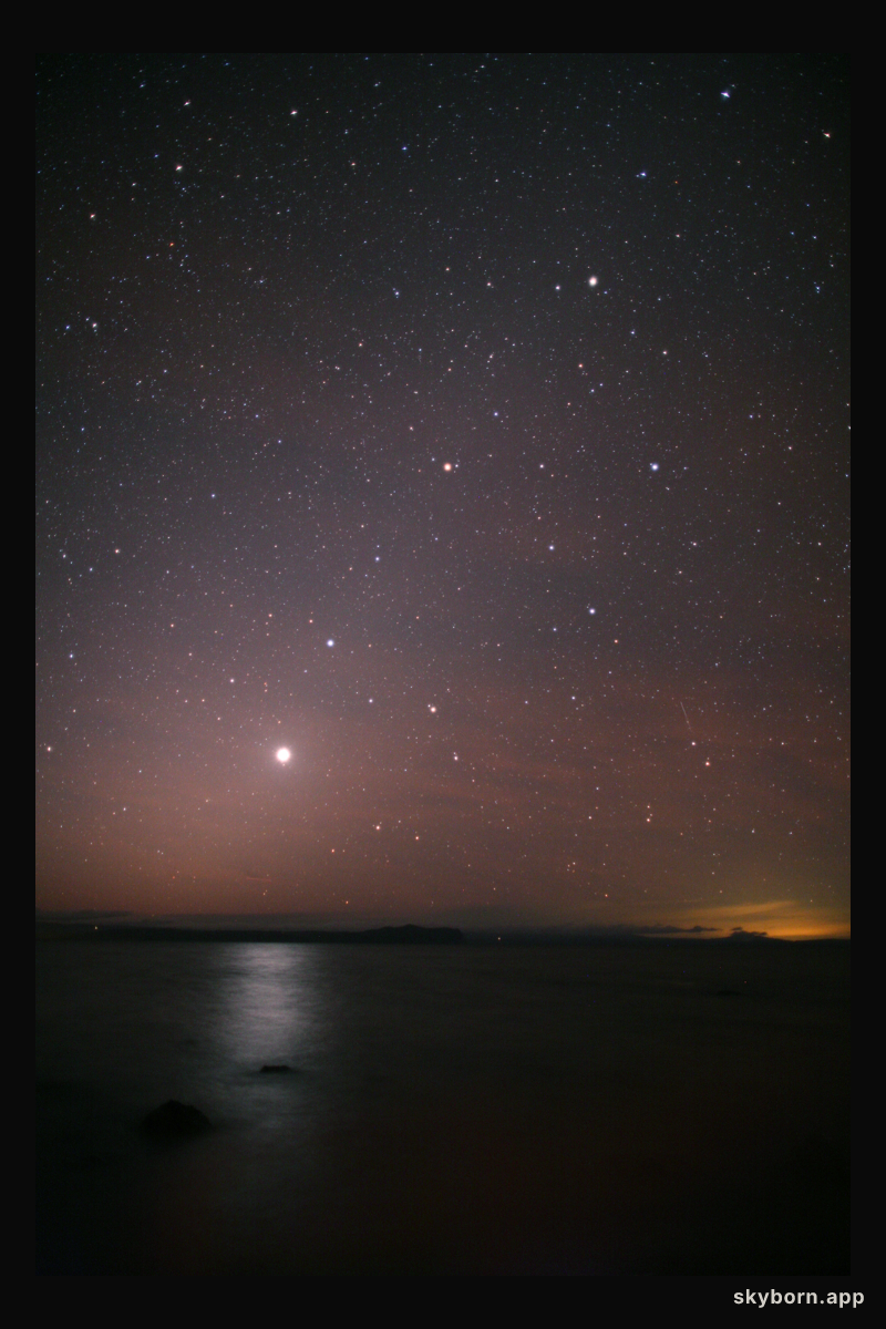 Ecliptic New Zealand