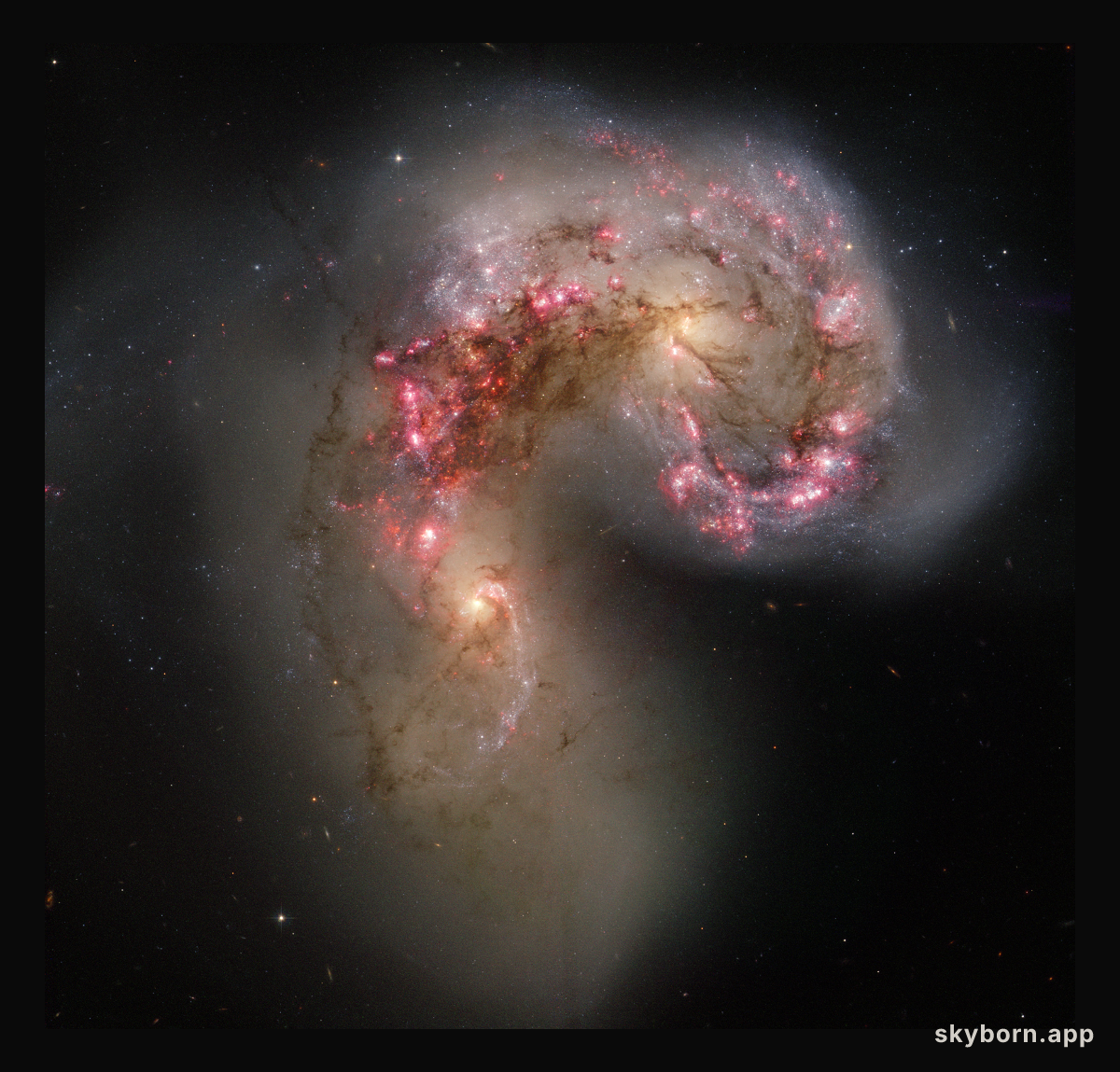 The Antennae Galaxies in Collision