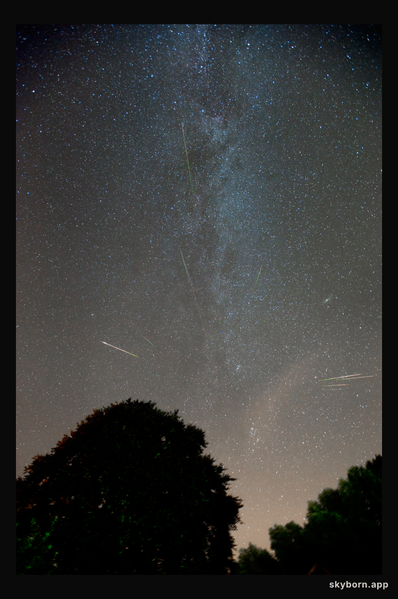 Night of the Perseids