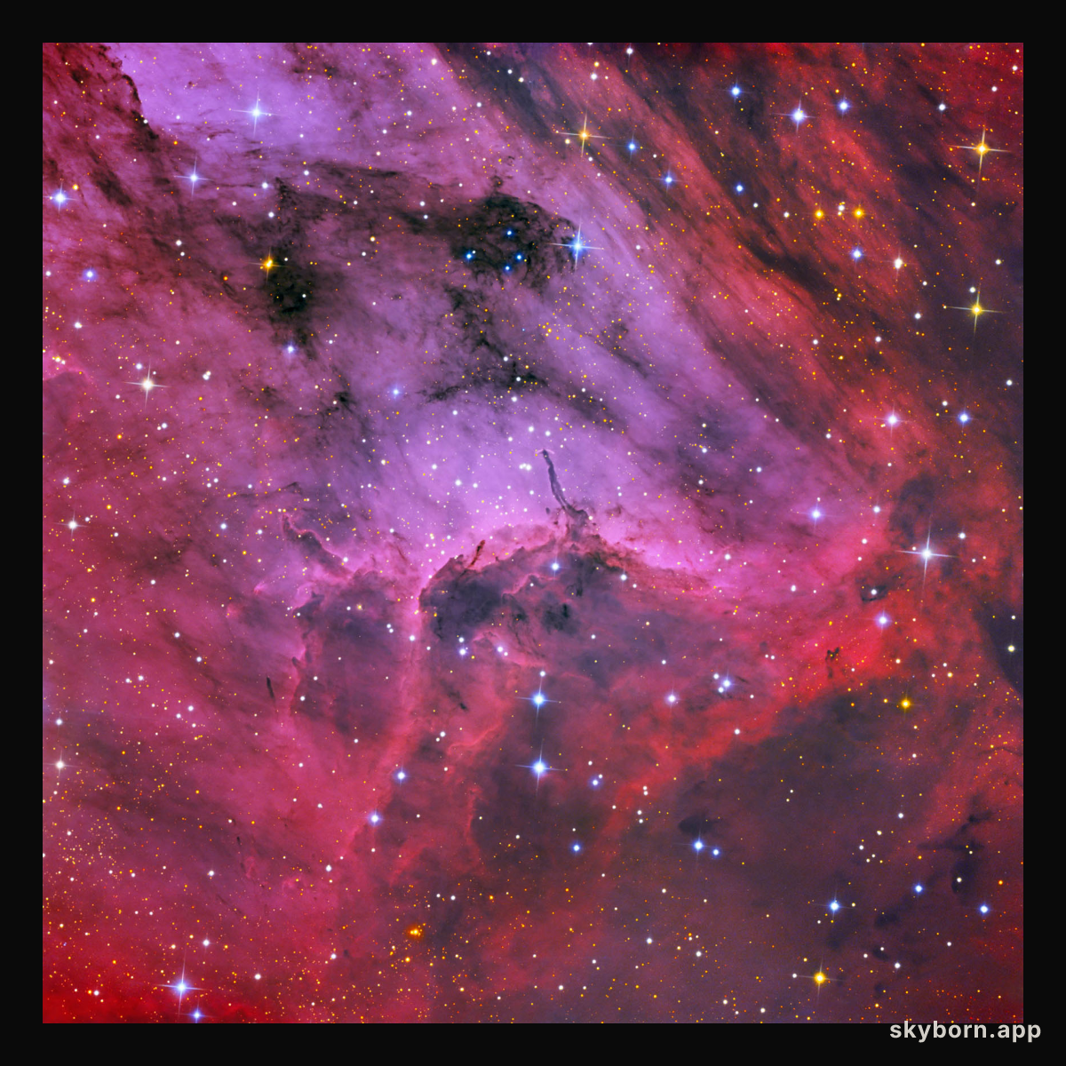 Pelican Nebula Close-up