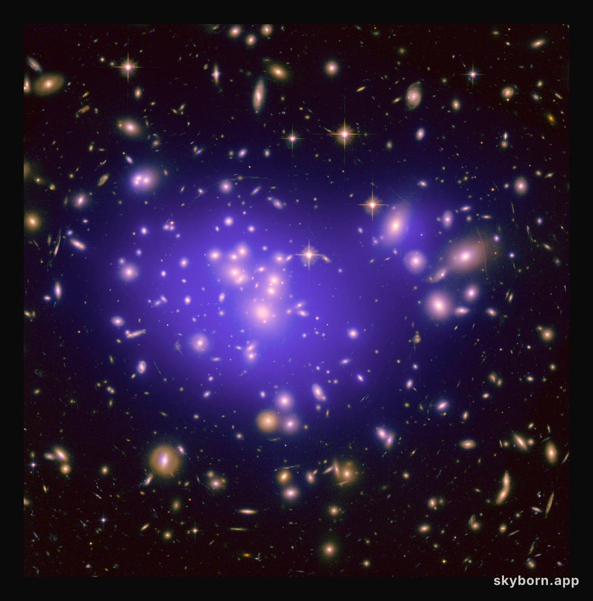 Galaxy Cluster Abell 1689 Magnifies the Dark Universe
