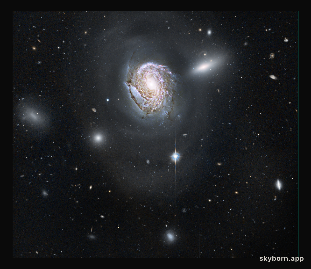 NGC 4911: Spiral Diving into a Dense Cluster