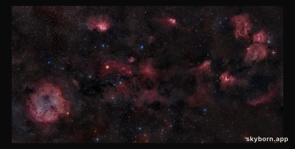 Cepheus: Trunk to Bubble