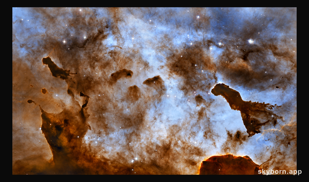 Dark Clouds of the Carina Nebula