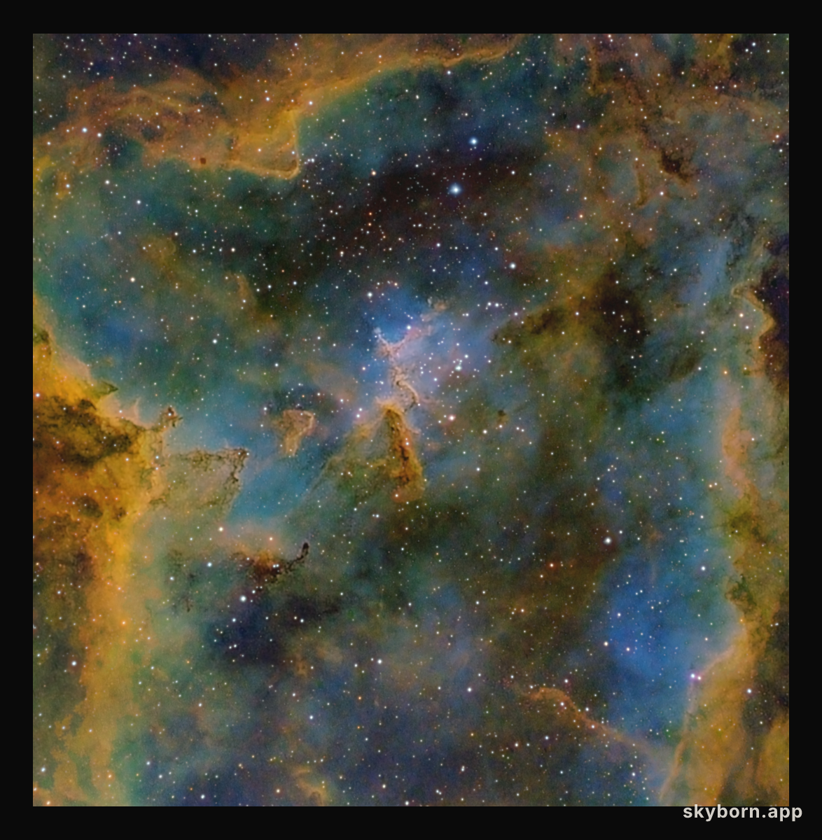 Melotte 15 in the Heart