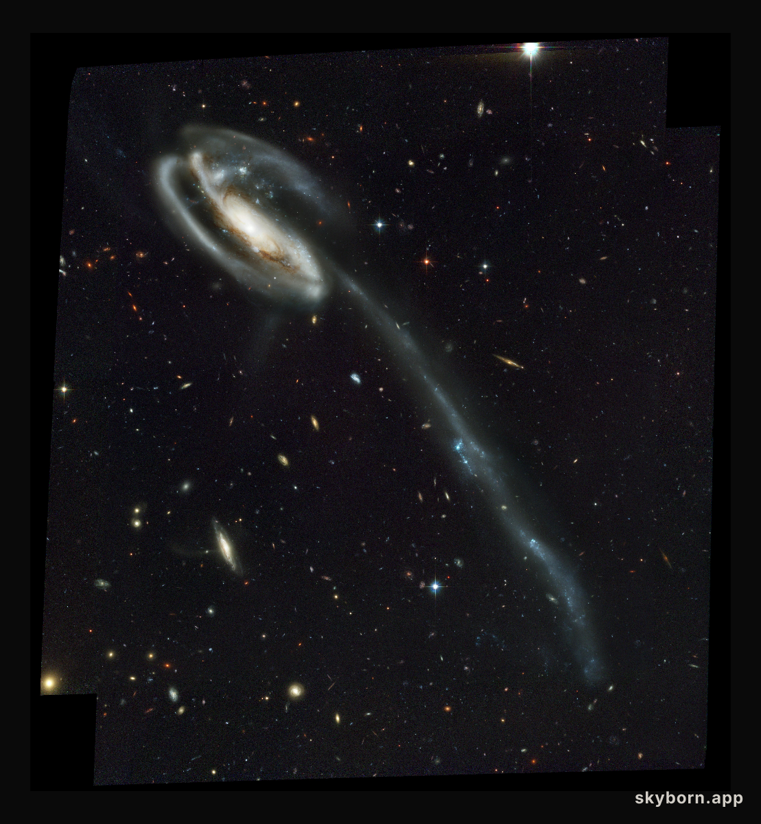 Arp 188 and the Tadpole's Tidal Tail