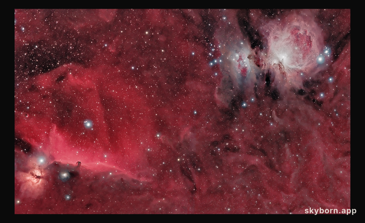 Horsehead and Orion Nebulas