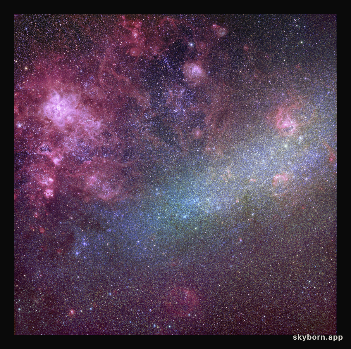 The Large Cloud of Magellan