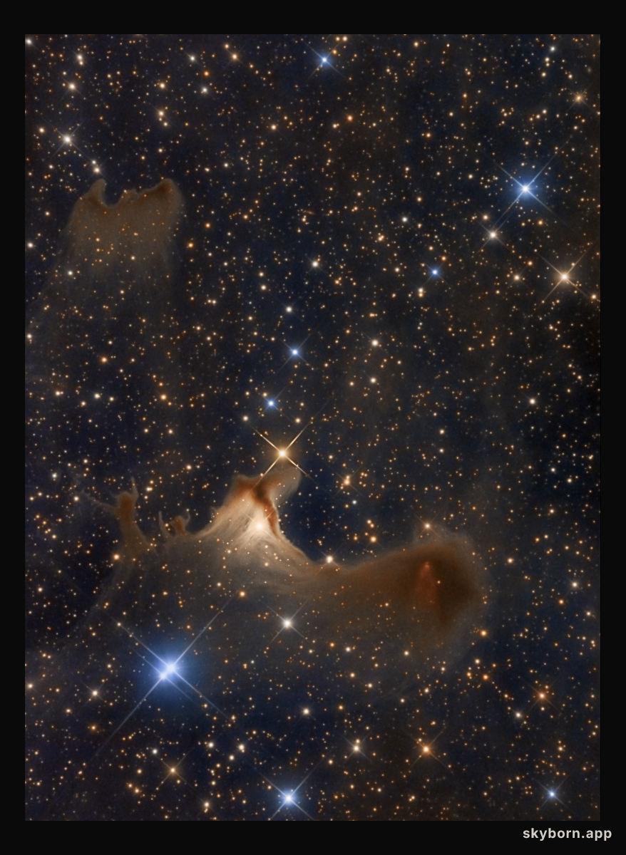 Ghost of the Cepheus Flare