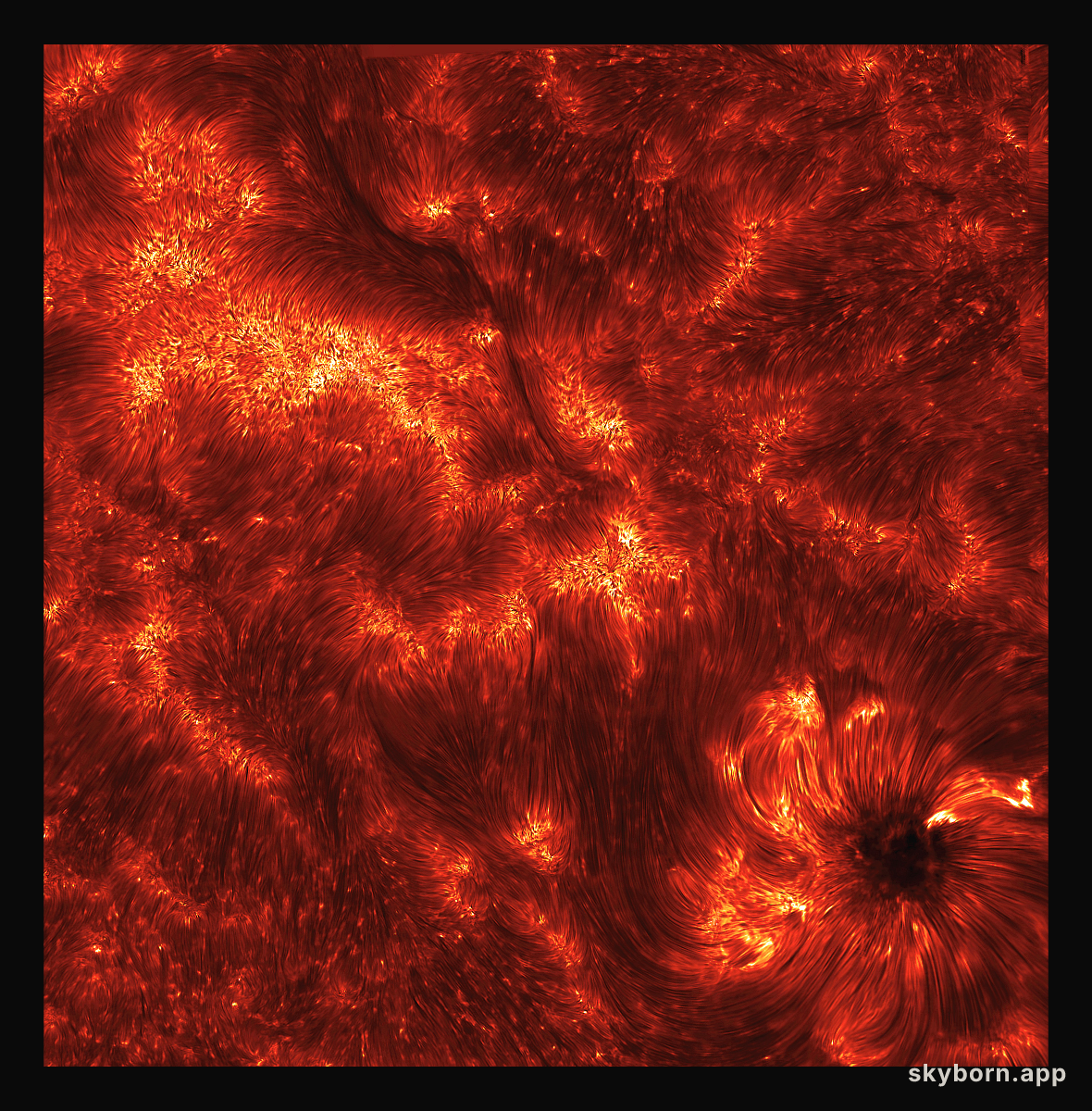 Spicules: Jets on the Sun