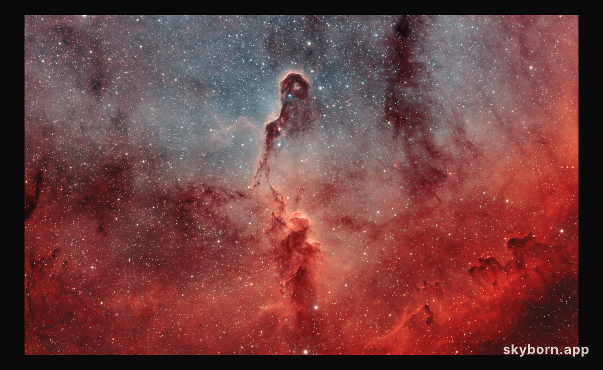 The Elephant's Trunk in IC 1396