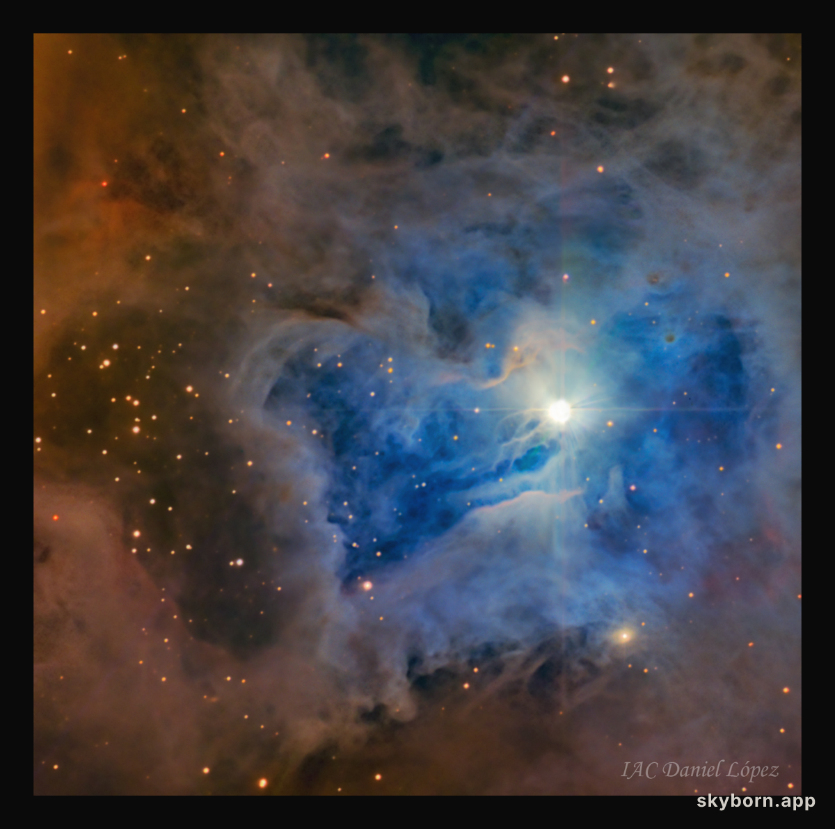 NGC 7023: The Iris Nebula