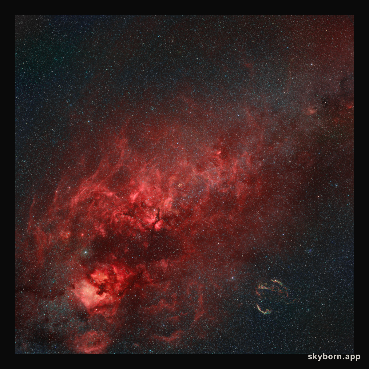 Nebulae in the Northern Cross