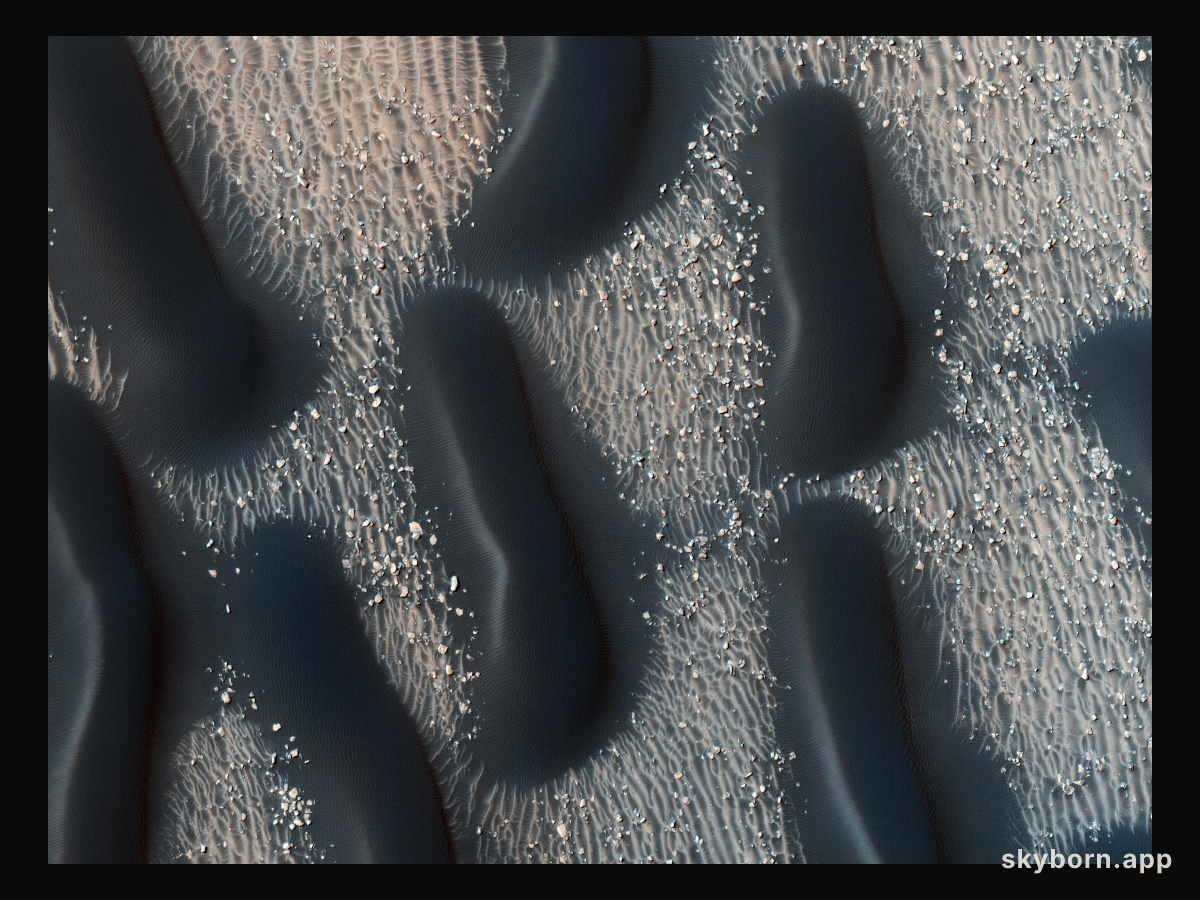 A Dark Dune Field in Proctor Crater on Mars