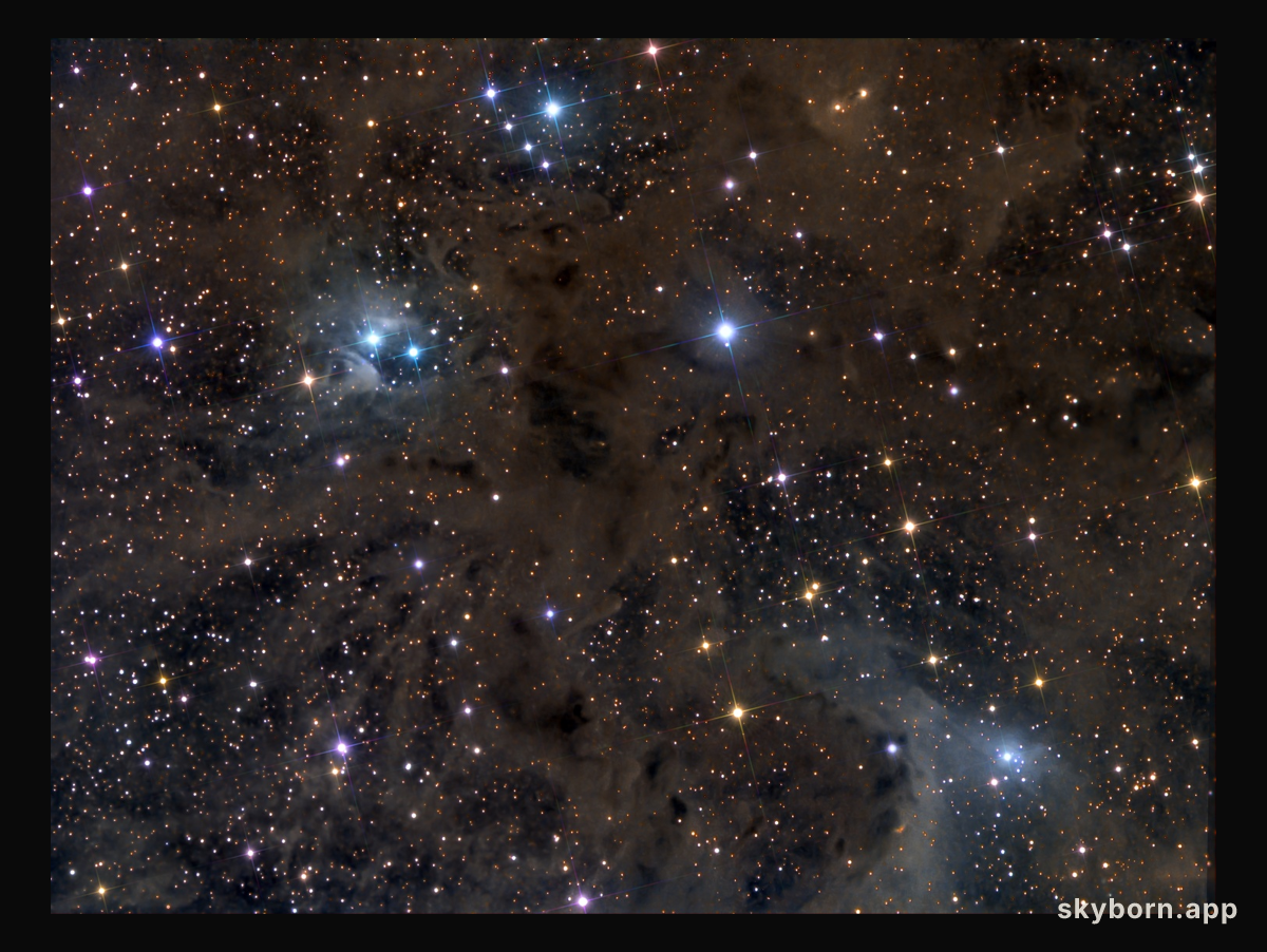 Stardust in Aries