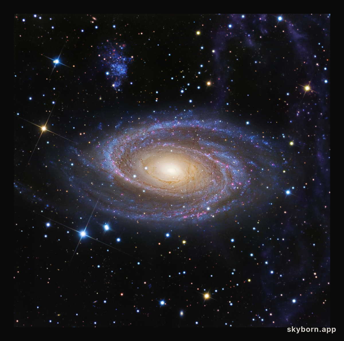 M81 and Arp's Loop