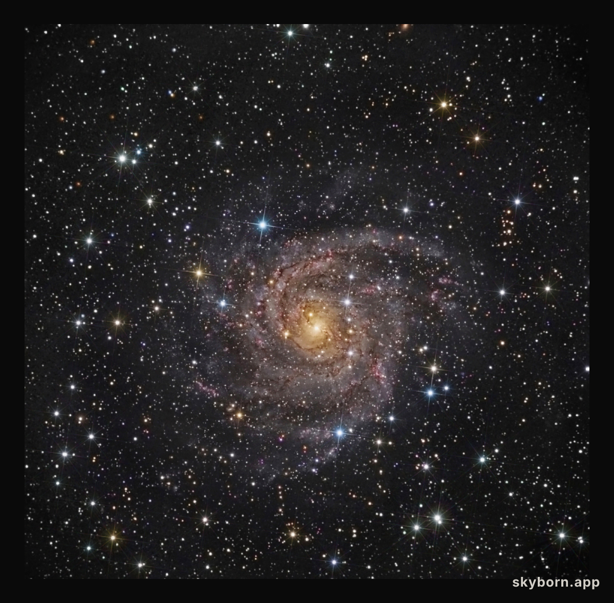 Hidden Galaxy IC 342