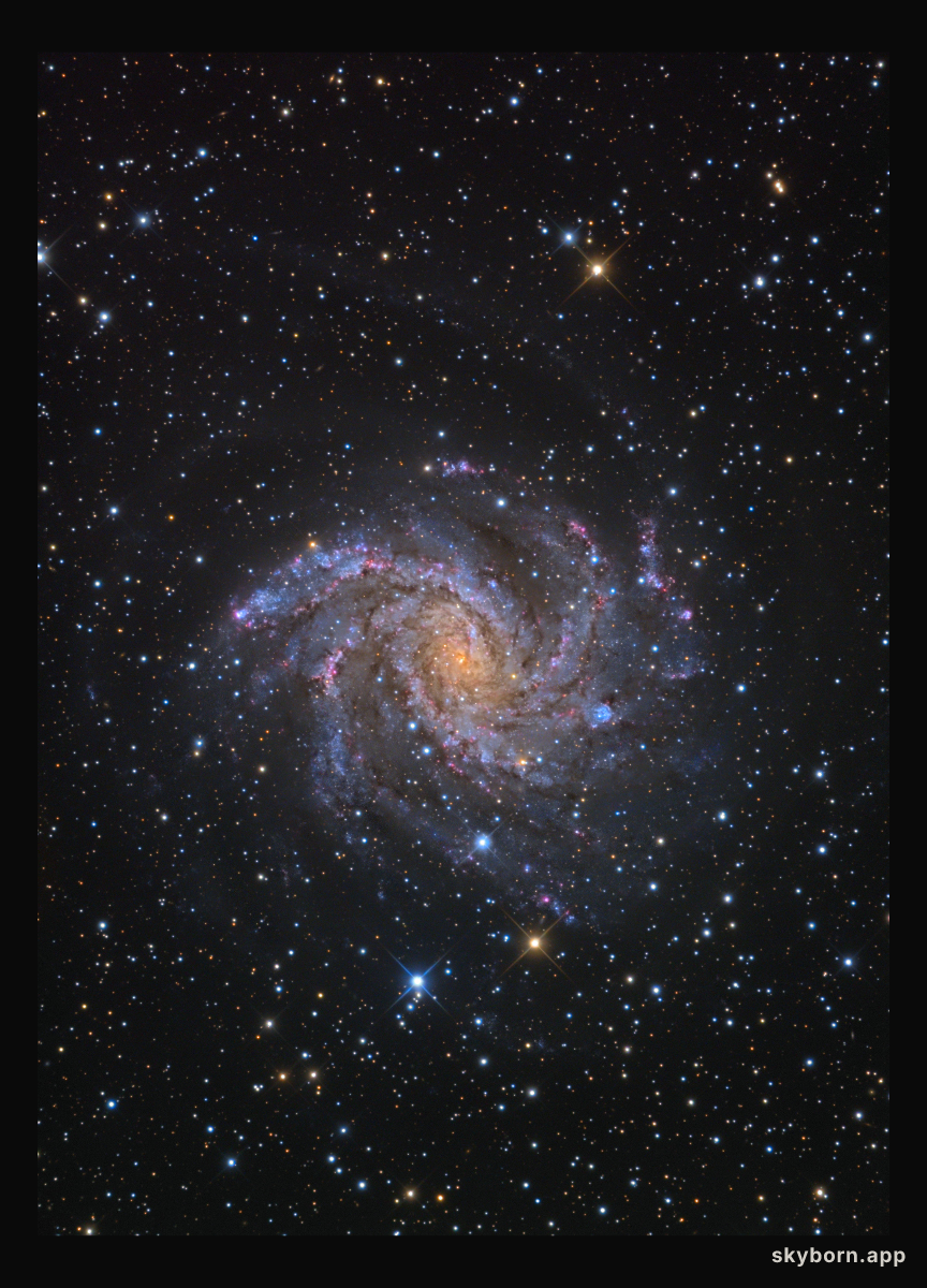 Fireworks Galaxy NGC 6946